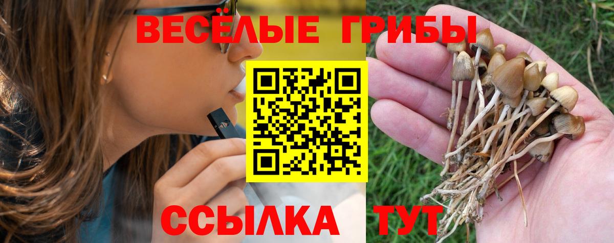где найти наркотики  Вход с VPN  Гуково  Галлюциногенные грибы Magic Shrooms 